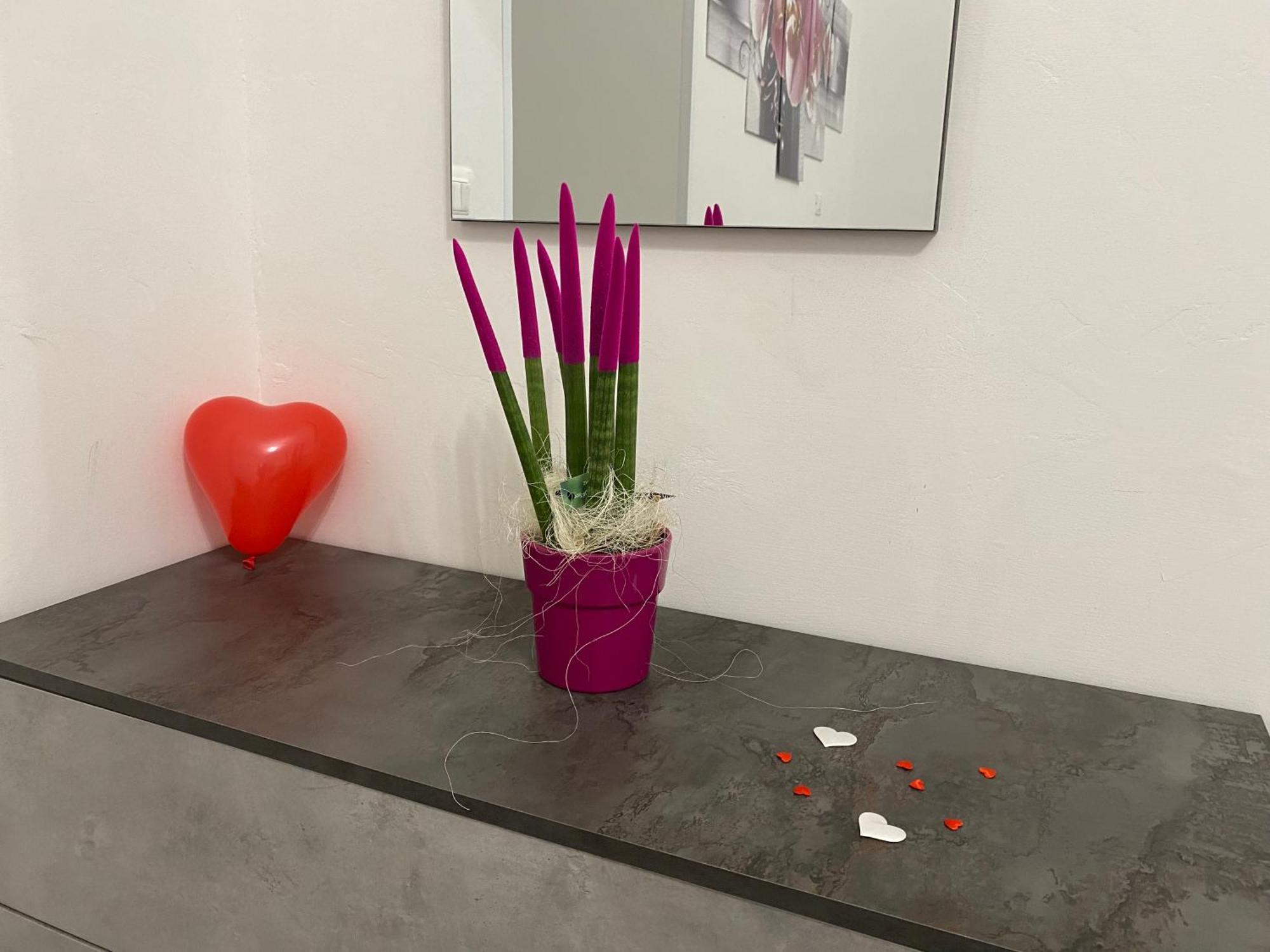 Le Regioni Del Cuore Vieste Zewnętrze zdjęcie